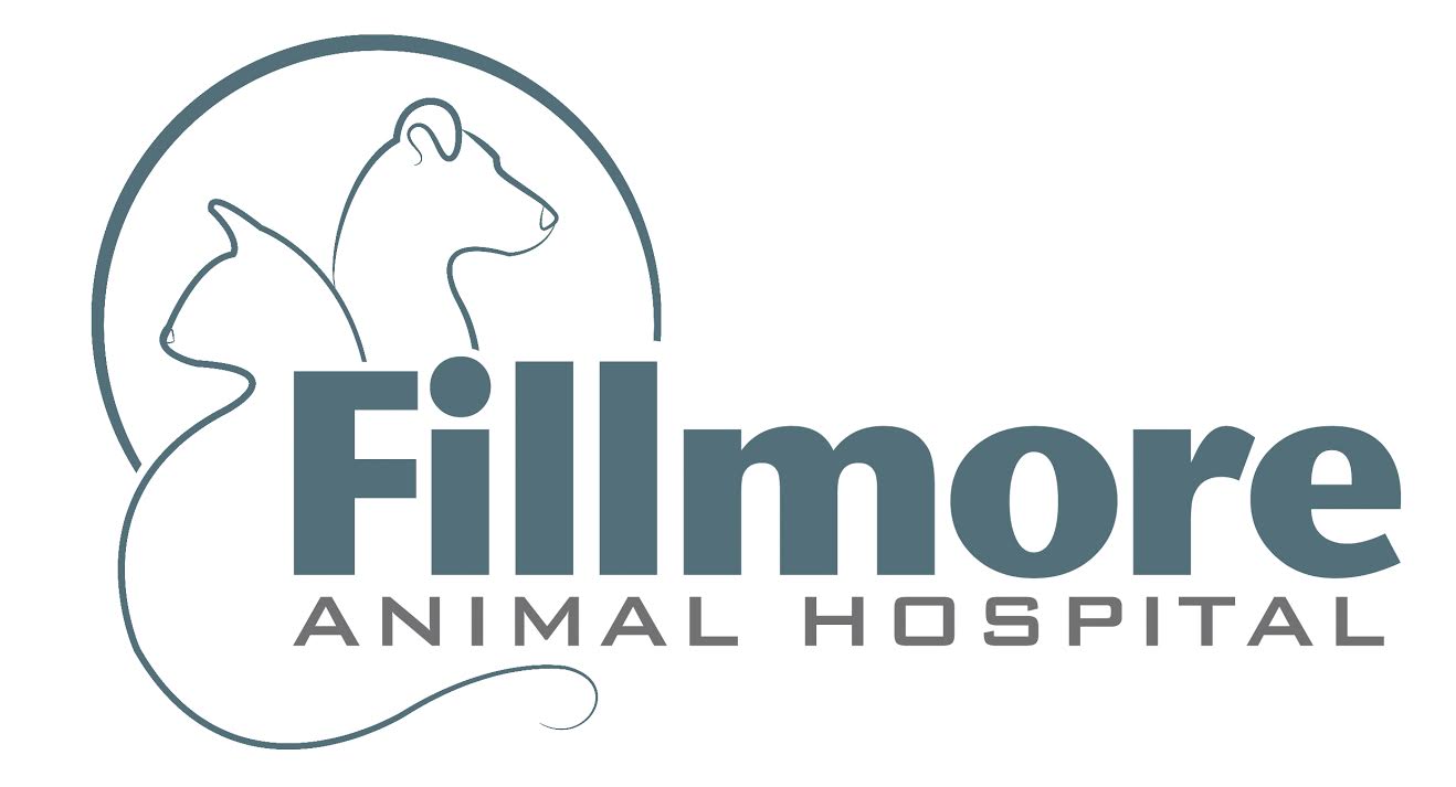 Fillmore Animal Hospital